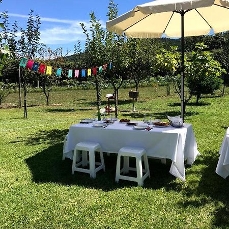 Vila Casa Dos Avos Póvoa de Lanhoso Exteriér fotografie
