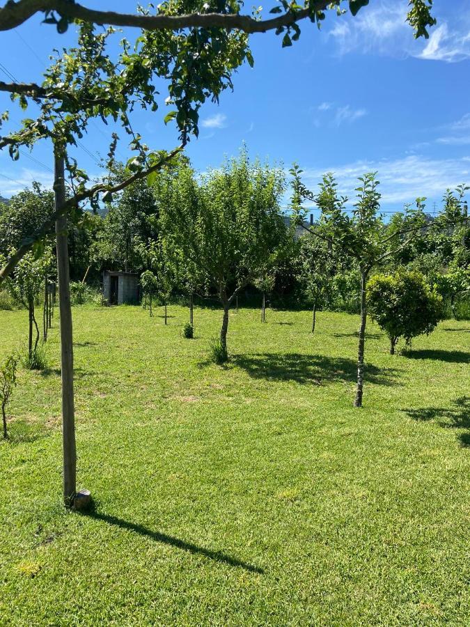 Vila Casa Dos Avos Póvoa de Lanhoso Exteriér fotografie